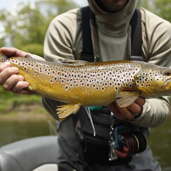 Erie, Pennsylvania and Ohio Fly Fishing Prices.